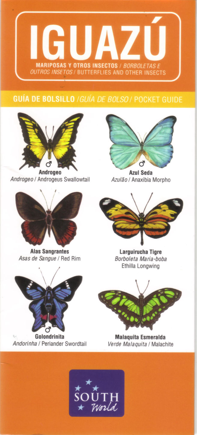 IGUAZU. Mariposas y otros insectos.