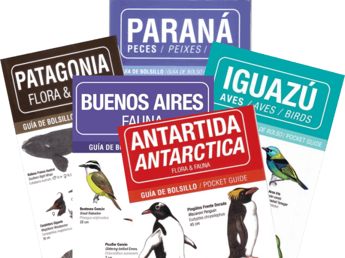 Pocket Guides
